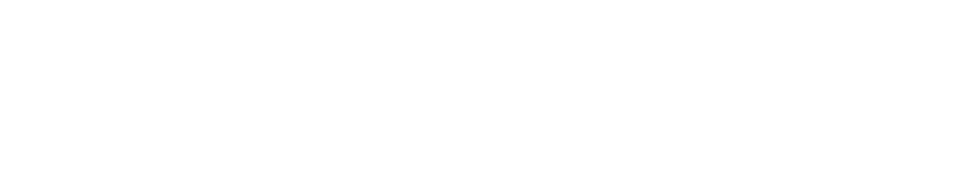 Life skills logo white